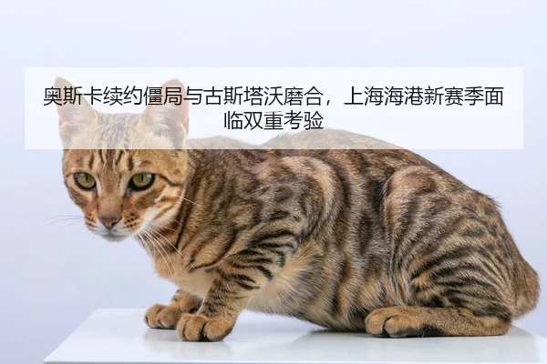 ao-si-ka-xu-yue-jiang-ju-yu-gu-si-ta-wo-mo-he-shang-hai-hai-gang-xin-sai-ji-mian-lin-shuang-chong-kao-yan-2-475.jpg